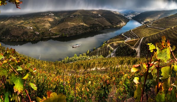 Обои тучи, плантации, река, Valenca Do Douro, теплоход, дождь, Португалия, поля