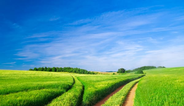 Обои green area, farmar, vally
