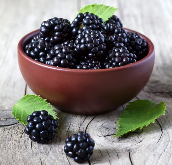 Обои свежие ягоды, миска, bowl, leaves, blackberries, ежевики, fresh berries, листики