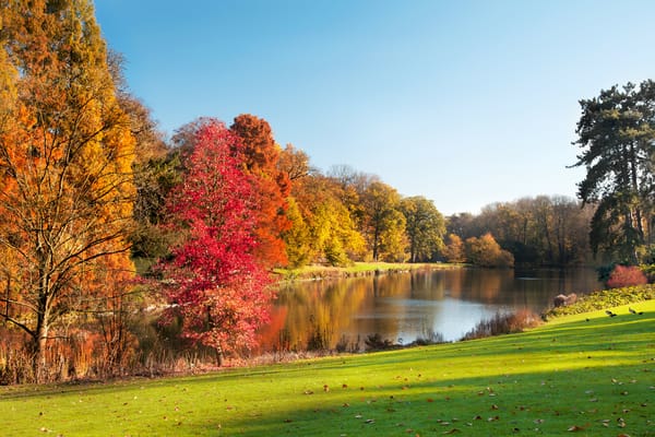 Обои Autumn park, красивая сцена, Осенний парк, озеро, пейзаж, деревья, beautiful scene, красочные деревья, colorful trees, trees, leaves, lake, nature, природа, листья, landscape