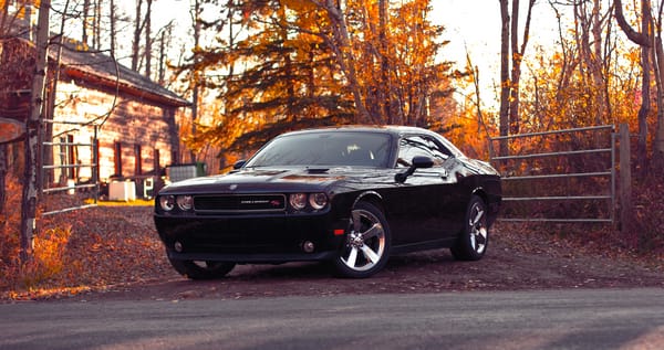 Обои dodge, challenger, дорога, осень