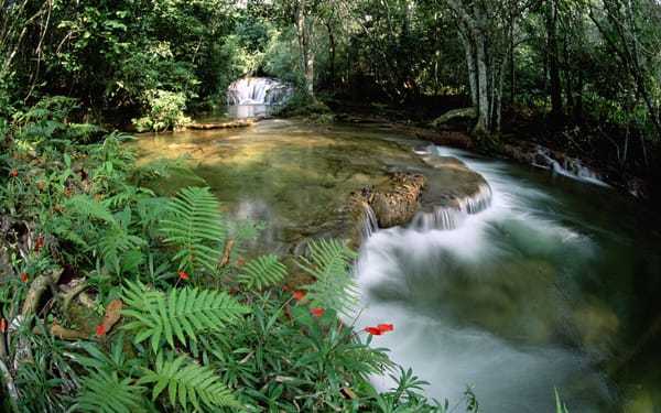 Обои Fonte de águas e cascata, Serra de Bodoquena no Mato Grosso, Limestone springs and waterfalls, Serra de Bodoquena at Mato Grosso, Brasil, Brazil