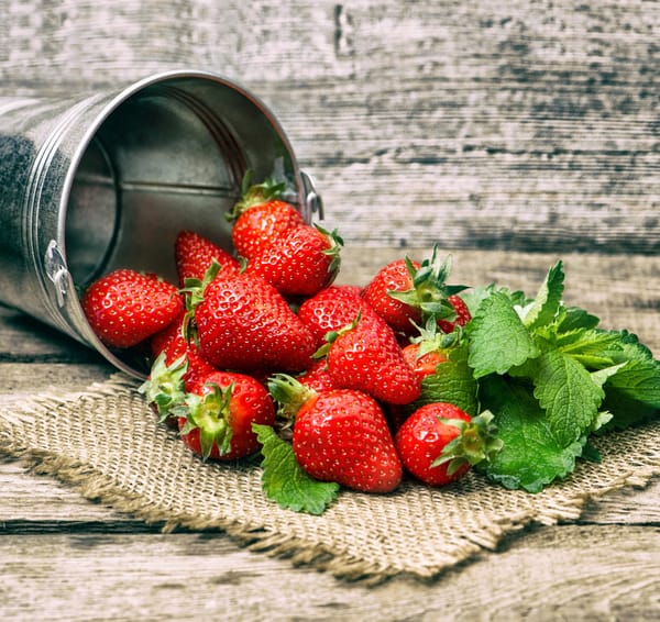 Обои strawberry, ягоды, ведро, клубника, fresh berries