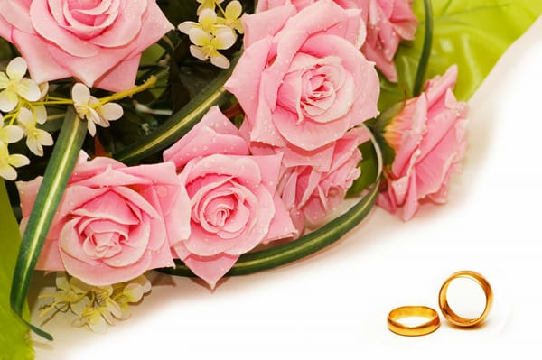 Обои цветы, droplets, flowers, bouquet of roses, wedding rings, капельки, обручальные кольца, букет, розы