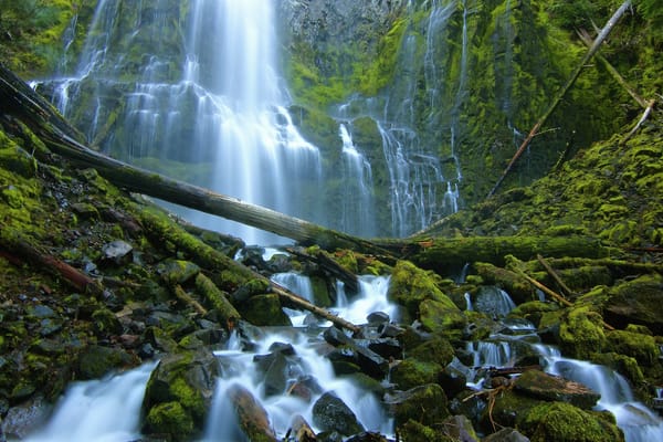 Обои Proxy Falls, камни, Three Sisters Wilderness, Орегон, водопад, Oregon, брёвна, каскад, мох