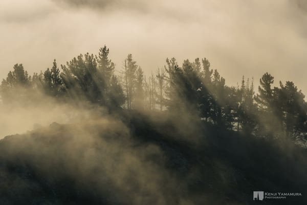 Обои Kenji Yamamura, лес, холм, тучи, туман, photographer