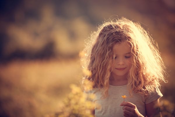 Обои Evening sun, солнечный свет, цветочек, девочка