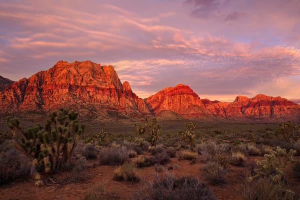 Обои Red Rock Canyon, США, Невада, горы, Лас-Вегас, National Conservation Area, пустыня, зарево, скалы