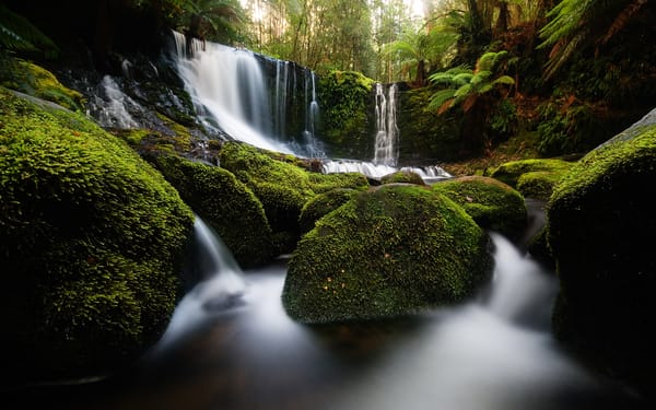 Обои Tasmania, камни, водопад, Horseshoe Falls, природа, мох, Australia, Mount Field national park