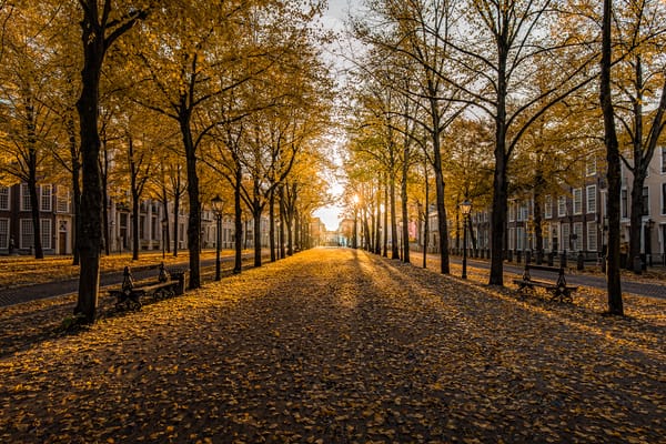 Обои Golden Hour, Nederland, Hague