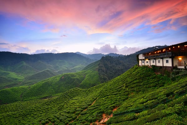Обои tanah rata, cameon hills, malaysia