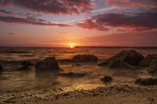 Обои Bay Shore Live Oak Park, sunset, sea