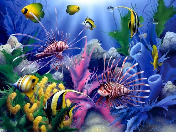 Обои Lions of the Sea, fish, corals, painting, underwater world, David Miller, colorful