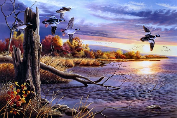 Обои Mark S. Bray, рисунок, озеро, осень, птицы, вода, утки, живопись, Autumn Waters