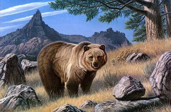 Обои Paul Krapf, камни, гризли, животные, живопись, Grizzly Country, горы, бурый медведь, grizzly bear, североамериканский, валуны, свирепый