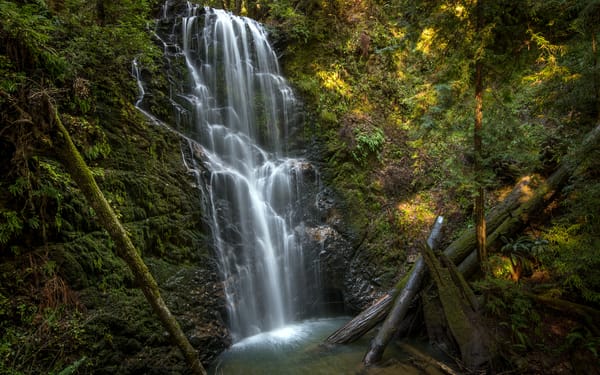 Обои водопад, брёвна, Berry Creek Falls, California
