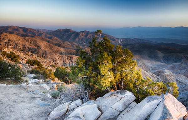 Обои камни, US, Coachella Valley, пустыня, Joshua Tree National Park, кусты, горы, California