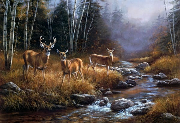 Обои Rosemary Millette, река, Rosemary Milette, туман, олени, живопись, пейзаж, October Mist, октябрь, лес, ручей