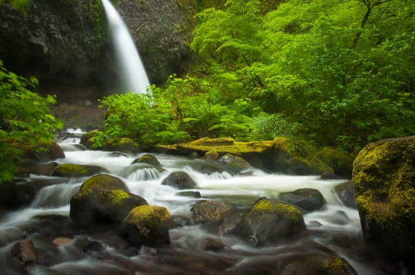 Обои Oregon, камни, река, водопад, лес, Ponytail Falls, Columbia River Gorge