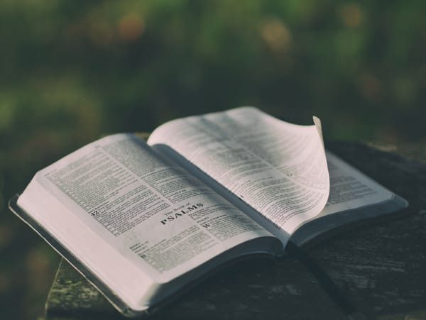 Обои книга, чтение, вдохновение