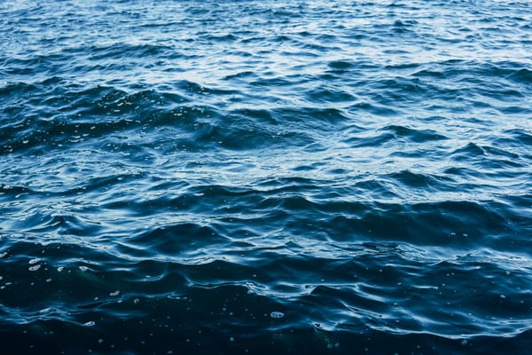 Обои море, вода, поверхность