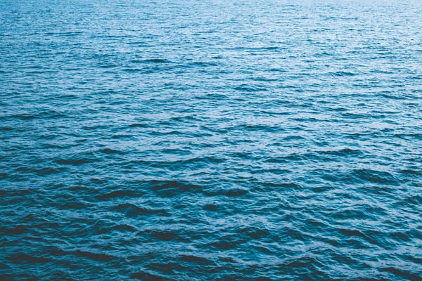 Обои море, поверхность, вода