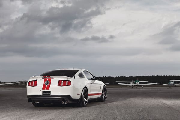 Обои gt500, мустанг, Ford, форд, белый, мускул кар, shelby, mustang, muscle car