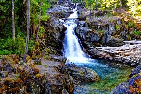 Обои деревья, речка, silver falls, пейзаж, водопад, mt rainier national park