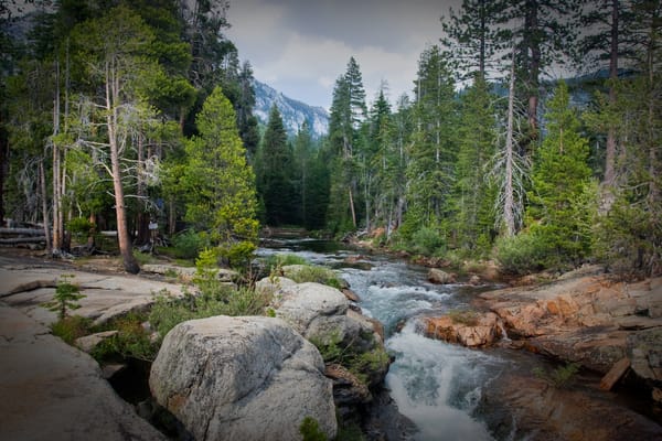 Обои пейзаж, лес, yosemite national park, merced river, река