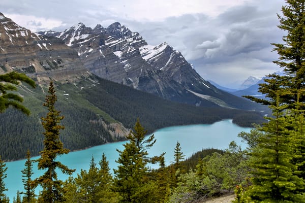 Обои пейзаж, banff national park, река, горы, peyto lake