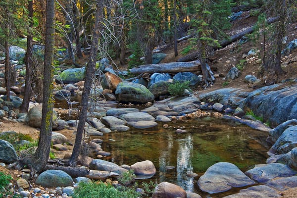 Обои камни, сша, парк, sequoia national park, национальный парк секвойя
