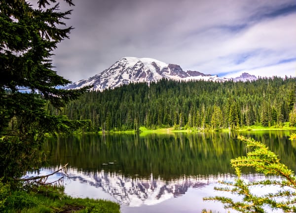 Обои пейзаж, лес, горы, цветы, лес, национальный парк маунт-рейнир, mount rainier national park, washingtoon