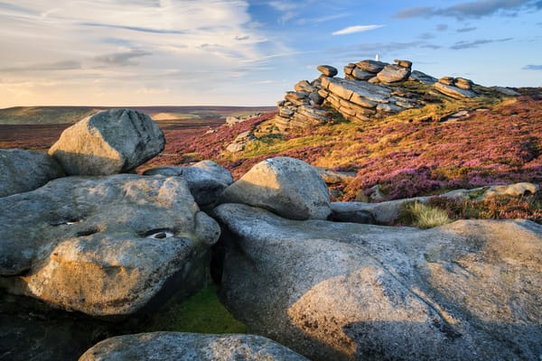 Обои цветы, england, пик-дистрикт, peak district, англия, камни, национальный парк