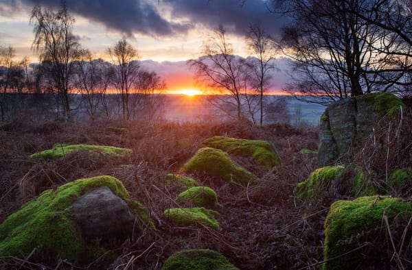 Обои закат, sunset, пик-дистрикт, rocks, peak district national park, облака, национальный парк пик-дистрикт, forest, мох, англия, peak district, light, лучи, деревья, камни, england, ветки