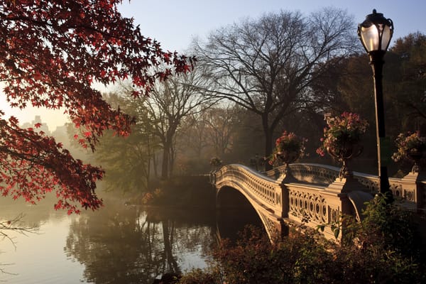 Обои trees, bridge, autumn tree, lamppost, central park, new york city
