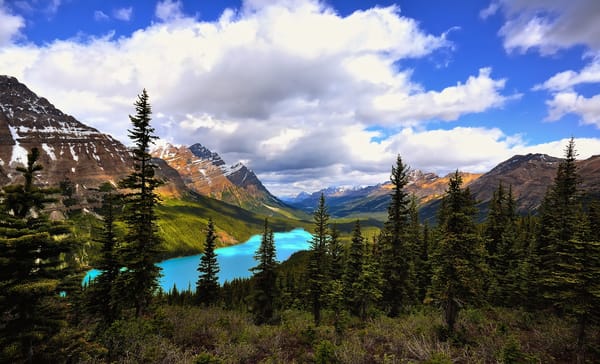 Обои canada, peyto lake, banff national park
