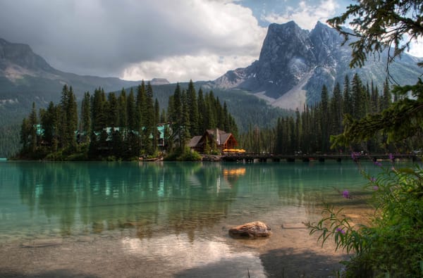 Обои лес, alberta, lake louise, canada