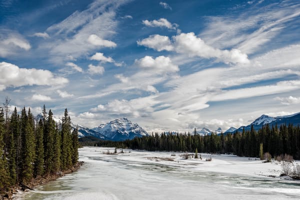 Обои деревья, река, пейзаж, athabasca river, jasper national park, горы