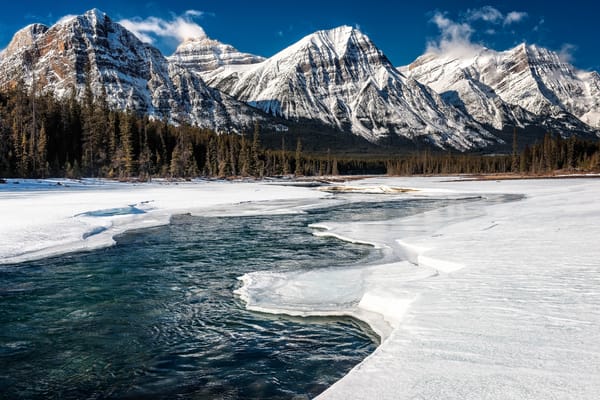 Обои деревья, горы, athabasca river, река, пейзаж, jasper national park