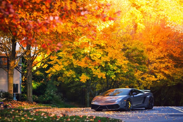 Обои lamborghini, осень, gallardo, lp570-4, superleggera, деревья