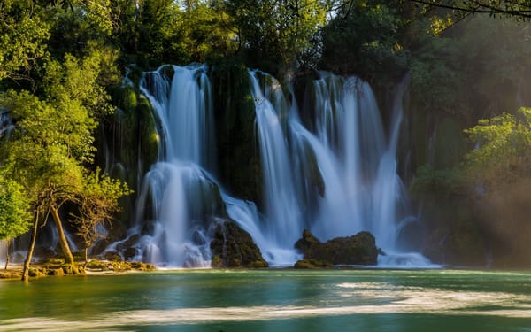 Обои деревья, босния и герцеговина, водопад, bosnia and herzegovina, trebizat river, река, kravice falls