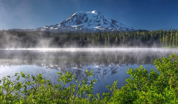 Обои лес, вашингтон, утро, гора адамс, takhlakh lake, cascade range, вулкан, washington, отражение, кусты, гора, маунт-адамс, озеро, mount adams, каскадные горы