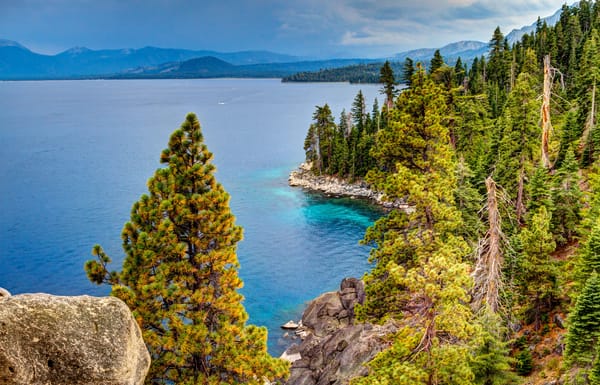 Обои природа, калифорния, побережье, сша, лес, lake tahoe, деревья, пейзаж, озеро