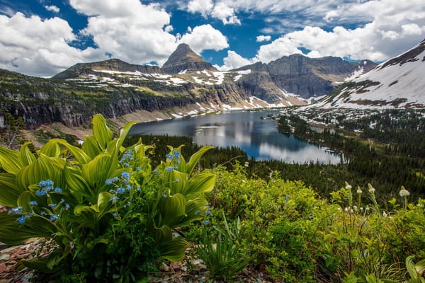 Обои природа, монтана, река, пейзаж, north america, glacier national park, северная америка, montana, парк, горы