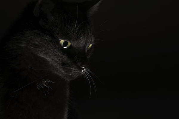 Обои black, koshak, минимализм