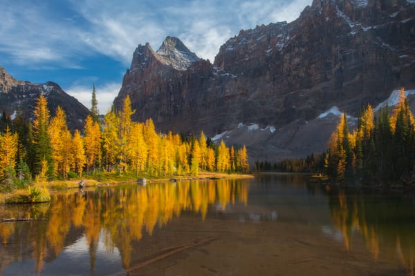Обои british columbia, yoho national park, lake ohara