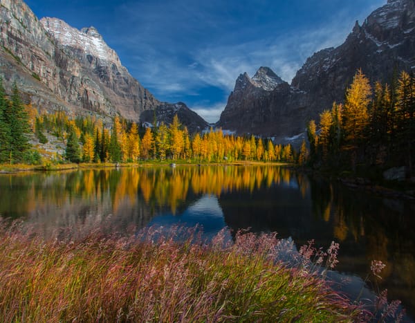 Обои british columbia, lake ohara, yoho national park