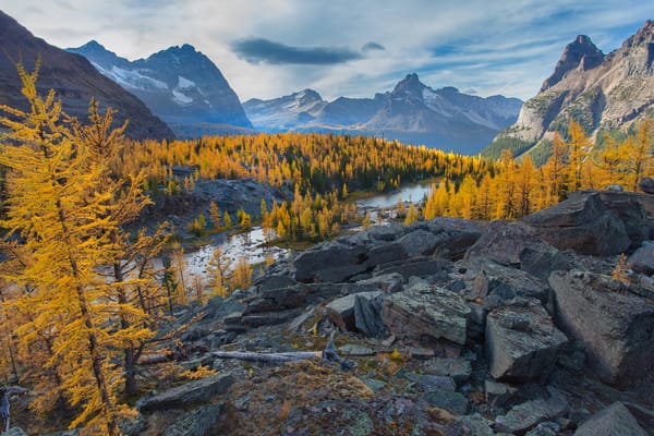 Обои british columbia, lake ohara, yoho national park