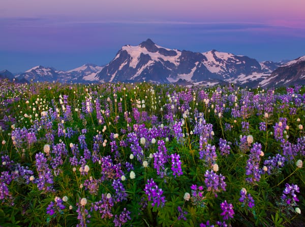 Обои washington, mount baker area, the purple hour on mount shuksan - skyline divide