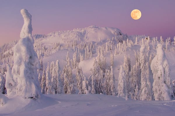Обои canada, british columbia, pastel winter - mount seymour provincial park, vancouver